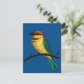 Bienenfresser Postkarte (Stehend Vorderseite)