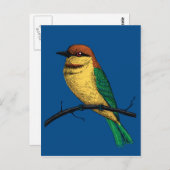 Bienenfresser Postkarte (Vorne/Hinten)