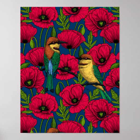 Bienenfresser und -mohn poster (Vorne)