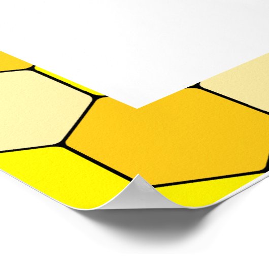 Bienengeschlecht enthüllt Kartografie von Jungen o Poster (Ecke)