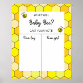 Bienengeschlecht enthüllt Kartografie von Jungen o Poster (Vorne)