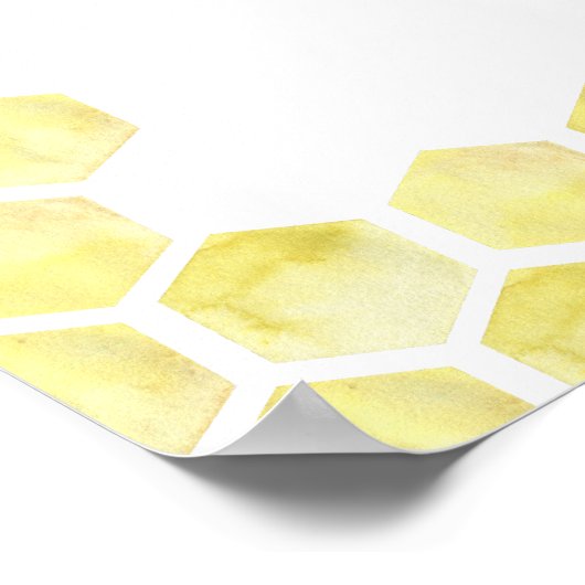 Bienengeschlecht enthüllt Kartografie von Jungen o Poster (Ecke)