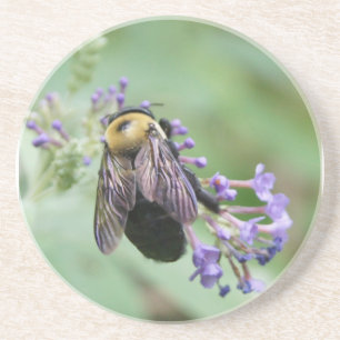 Bienenhaut-Untersetzer Sandstein Untersetzer