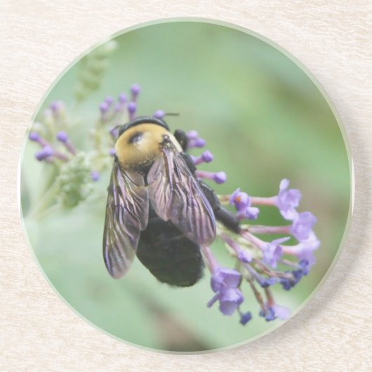 Bienenhaut-Untersetzer Sandstein Untersetzer (Vorne)