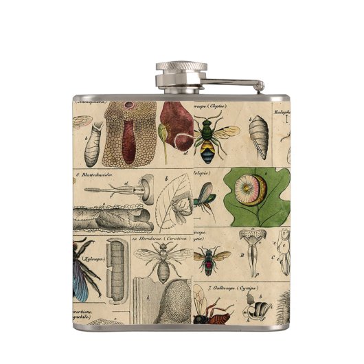 Bieneninsekt-Bug-Wasp-Bienen Flachmann (Rückseite)