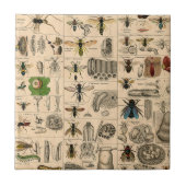 Bieneninsekt-Bug-Wasp-Bienen Fliese (Vorderseite)