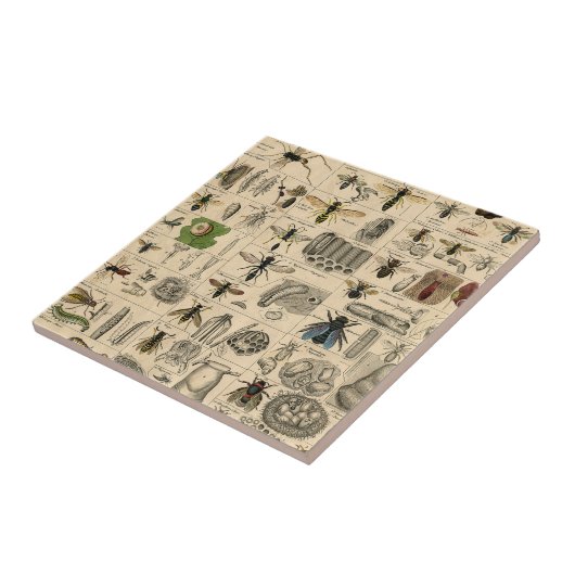 Bieneninsekt-Bug-Wasp-Bienen Fliese (Seite)