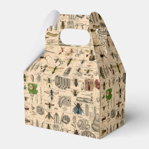 Bieneninsekt-Bug-Wasp-Bienen Geschenkschachtel