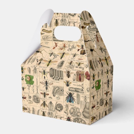 Bieneninsekt-Bug-Wasp-Bienen Geschenkschachtel (Vorderseite)