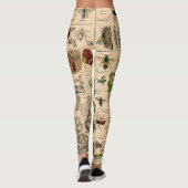 Bieneninsekt-Bug-Wasp-Bienen Leggings (Rückseite)