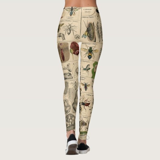 Bieneninsekt-Bug-Wasp-Bienen Leggings (Rückseite)