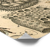 Bieneninsekt-Bug-Wasp-Bienen Poster (Ecke)