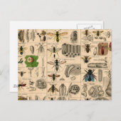 Bieneninsekt-Bug-Wasp-Bienen Postkarte (Vorne/Hinten)