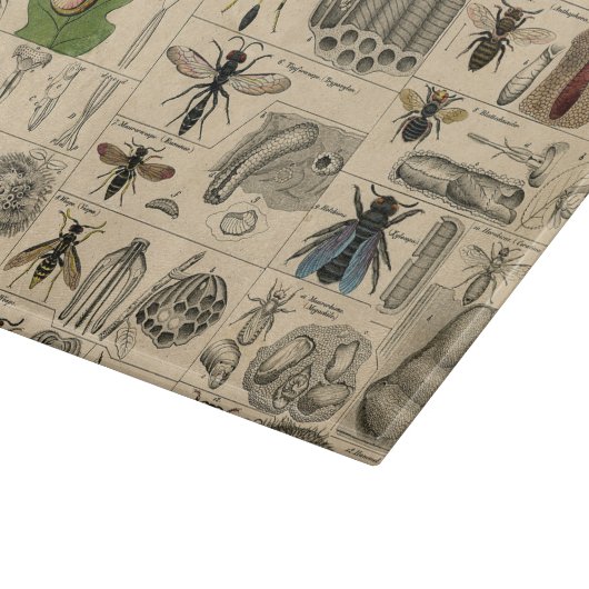 Bieneninsekt-Bug-Wasp-Bienen Schneidebrett (Ecke)