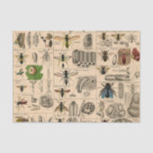 Bieneninsekt-Bug-Wasp-Bienen Seidenpapier (Vorderseite)