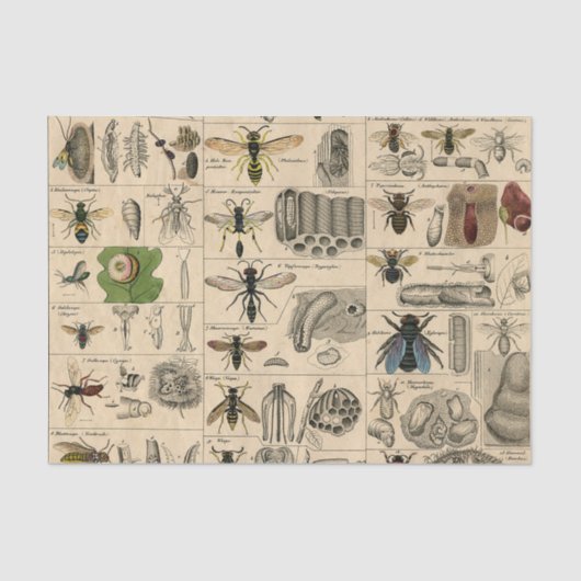 Bieneninsekt-Bug-Wasp-Bienen Seidenpapier (Vorderseite)