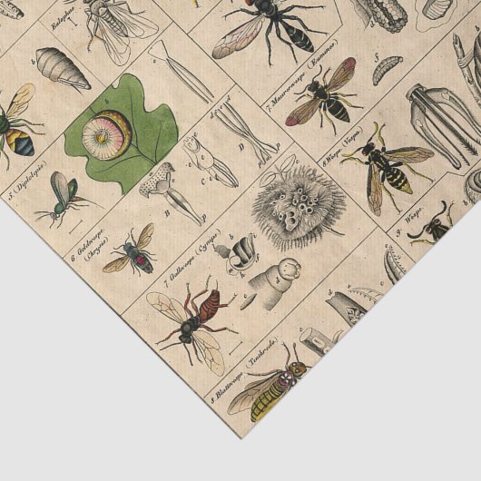 Bieneninsekt-Bug-Wasp-Bienen Seidenpapier (Ausschnitt)