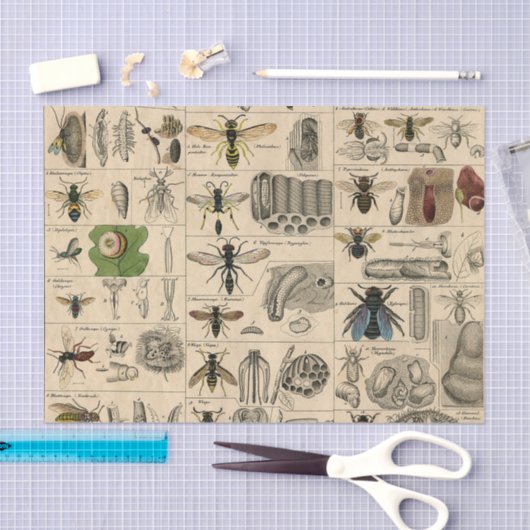 Bieneninsekt-Bug-Wasp-Bienen Seidenpapier (Handwerk)