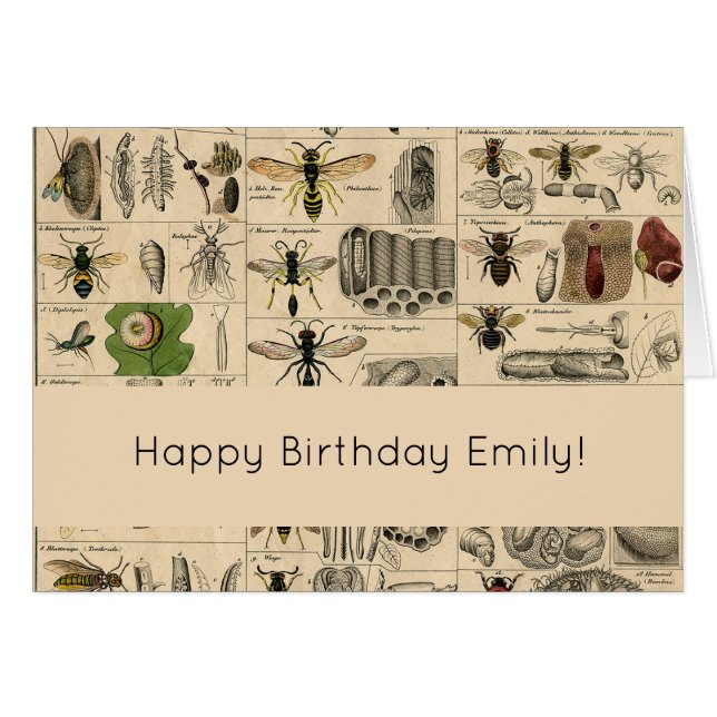 Bieneninsekt-Bug Wasp Naturbienen Malerei (Vorderseite (Horizontal))