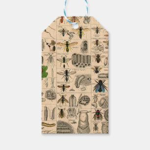 Bieneninsekt-Bug Wasp Naturbienen Malerei Geschenkanhänger