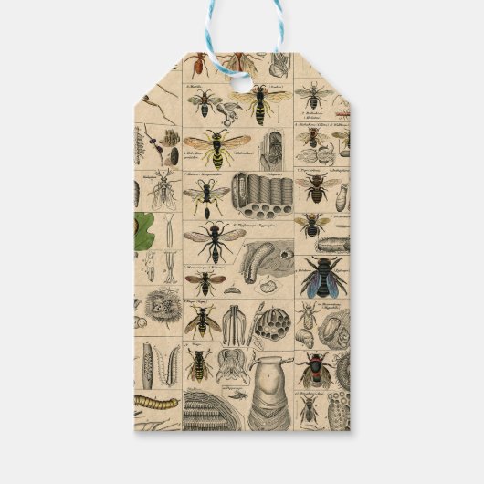 Bieneninsekt-Bug Wasp Naturbienen Malerei Geschenkanhänger (Vorderseite)