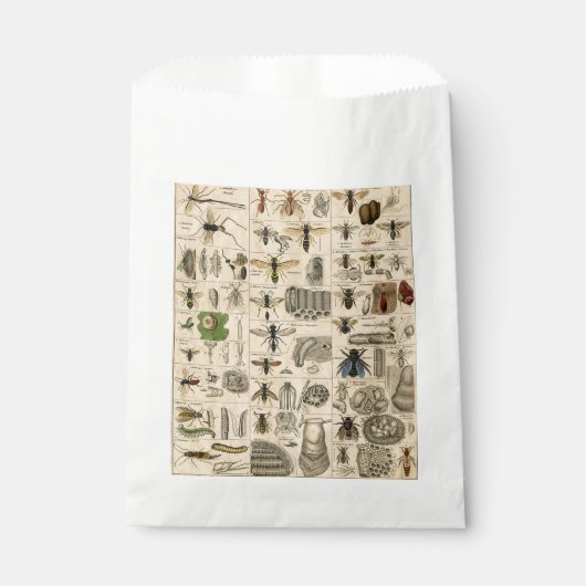 Bieneninsekt-Bug Wasp Naturbienen Malerei Geschenktütchen (Vorderseite)