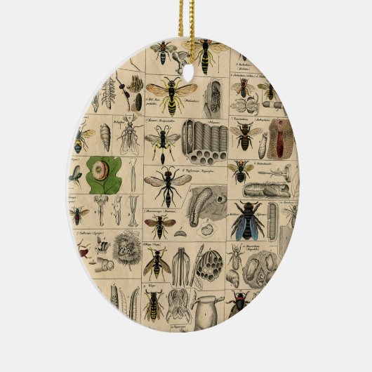 Bieneninsekt-Bug Wasp Naturbienen Malerei Keramik Ornament (Rechts)