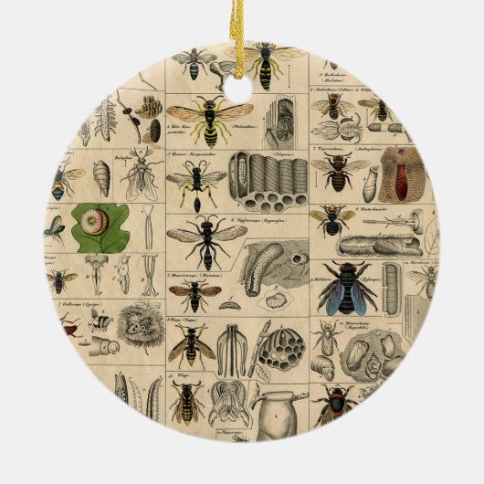 Bieneninsekt-Bug Wasp Naturbienen Malerei Keramik Ornament (Hinten)