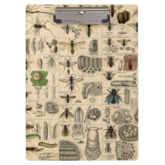 Bieneninsekt-Bug Wasp Naturbienen Malerei Klemmbrett (Vorderseite)