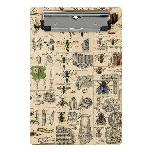 Bieneninsekt-Bug Wasp Naturbienen Malerei Mini Klemmbrett (Vorderseite)