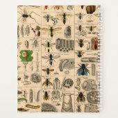 Bieneninsekt-Bug Wasp Naturbienen Malerei Planer (Rückseite)