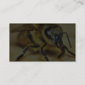 Bieneninsekten Visitenkarte (Rückseite)