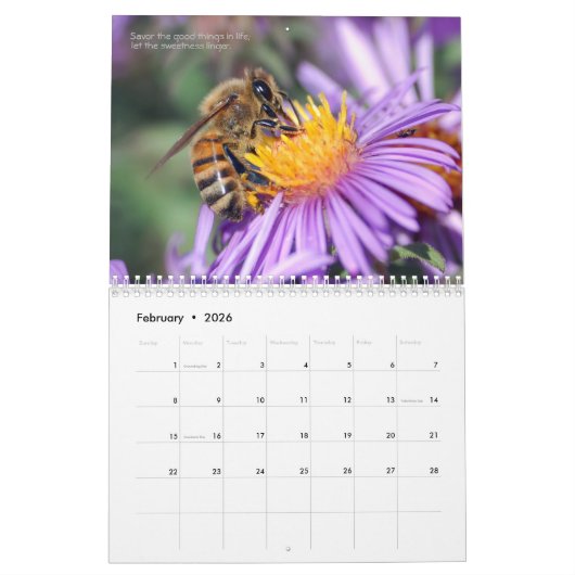 Bienenkalender 2021 Honig und Hummeln Kalender (Feb 2026)