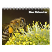 Bienenkalender 2025 kalender (Titelbild)
