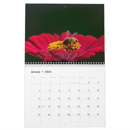 Bienenkalender 2025 kalender (Jan 2026)