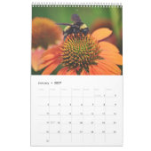 Bienenkalender Liebe Kalender (Jan 2027)