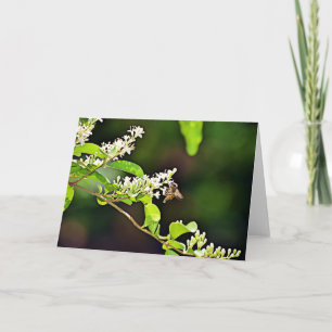 Bienenkarte 119:103 karte