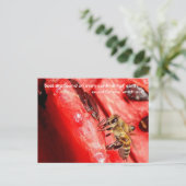 Bienenkarte / Biene auf einer Wassermelone Postkarte (Stehend Vorderseite)