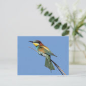 Bienenkarte Postkarte (Stehend Vorderseite)