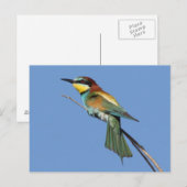 Bienenkarte Postkarte (Vorne/Hinten)