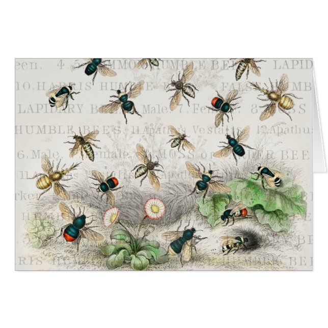 Bienenkleiferin Königin Bienen Antike (Vorderseite (Horizontal))