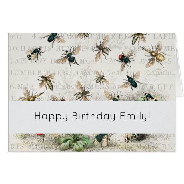 Bienenkleiferin Königin Bienen Antike (Vorderseite (Horizontal))