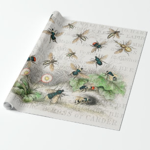 Bienenkleiferin Königin Bienen Antike Geschenkpapier