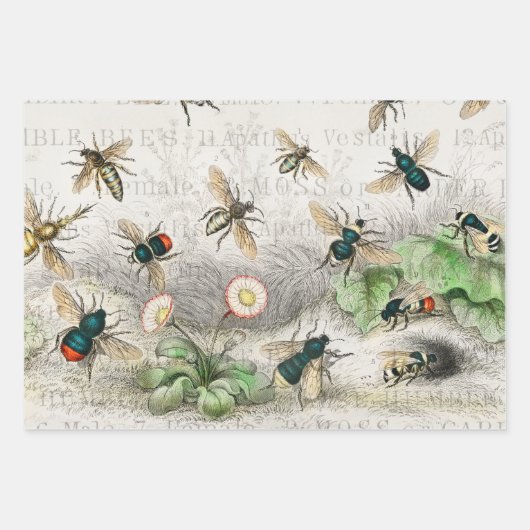 Bienenkleiferin Königin Bienen Antike Geschenkpapier Set (Vorderseite 2)