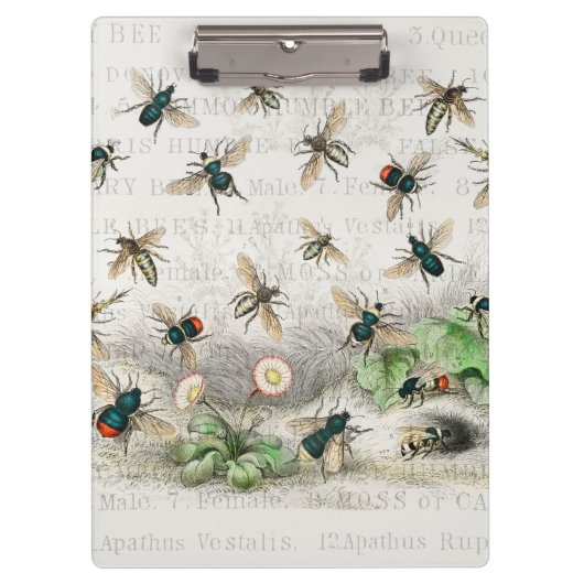 Bienenkleiferin Königin Bienen Antike Klemmbrett (Vorderseite)