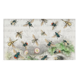 Bienenkleiferin Königin Bienen Antike Namenschild