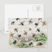 Bienenkleiferin Königin Bienen Antike Postkarte (Vorne/Hinten)