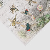 Bienenkleiferin Königin Bienen Antike Seidenpapier (Ausschnitt)