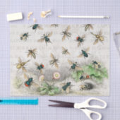 Bienenkleiferin Königin Bienen Antike Seidenpapier (Handwerk)