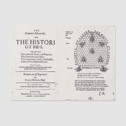 Bienenkönigin 1609 Veröffentlichung Seidenpapier (Vorderseite)